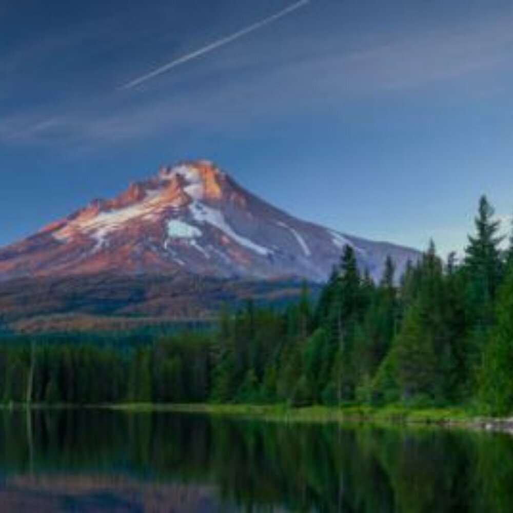 Dansko Maria Ankle Boots Black Nubuck Leather Size 42